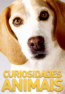 Curiosidades Animais (Curiosidades Animais)