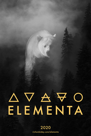 Poster 1 de Filme Elementa (2020)