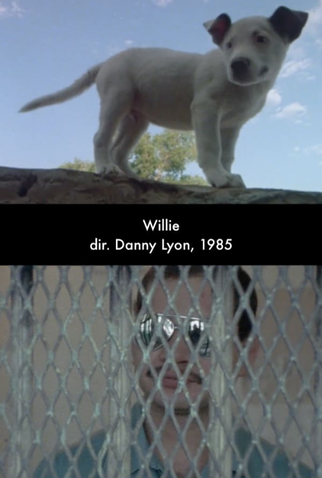 Poster 1 de Filme Willie (1985)