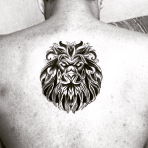 Foto de perfil de fernando silva