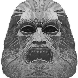 Foto de perfil de Felipe