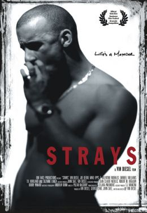 Instinto Assassino (Strays)