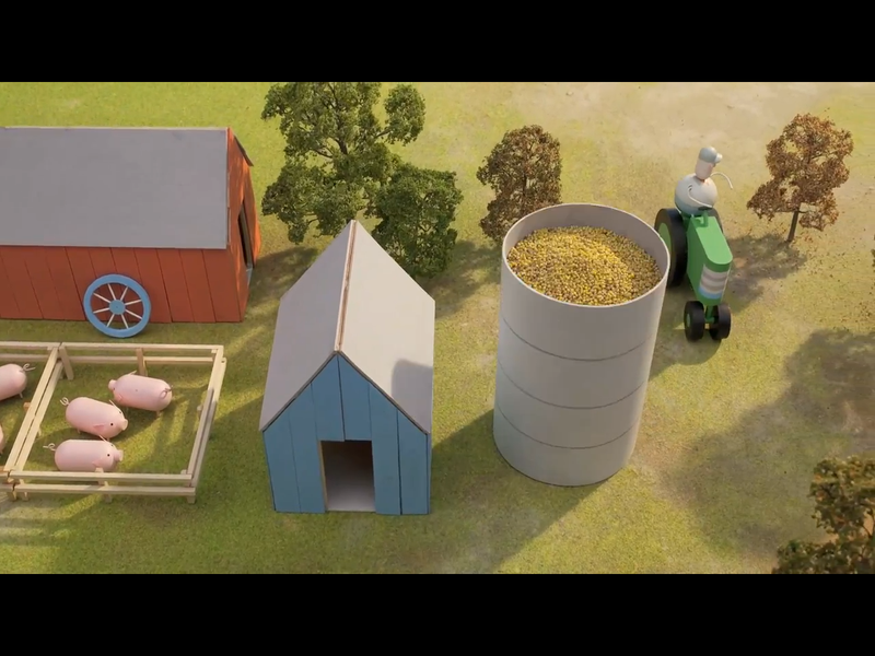 Foto 1 de Back to the Start