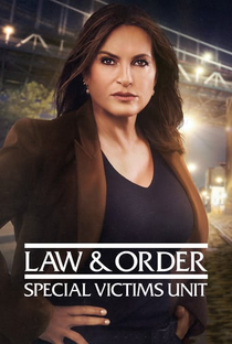 Lei & Ordem: Unidade de Vítimas Especiais (22ª Temporada) - Poster / Capa / Cartaz - Oficial 1