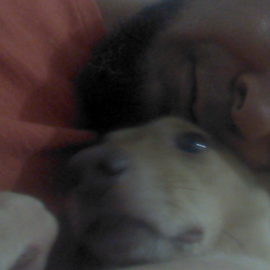 Foto de perfil de Oliveira Eduardo