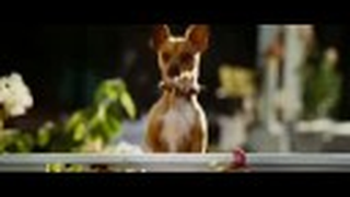 Trailer: BEVERLY HILLS CHIHUAHUA Theatrical Trailer