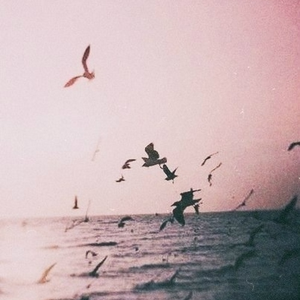 Foto de perfil de Flaminhia