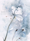 Andreia_Buzine