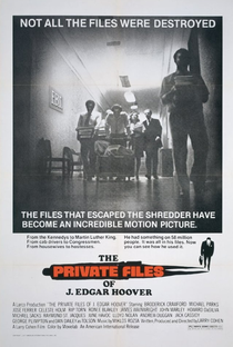 FBI - Arquivo Secreto - Poster / Capa / Cartaz - Oficial 1