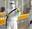 The Next Pandemic