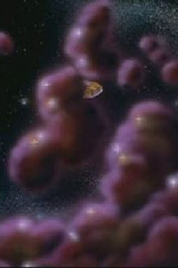 Poster de Episódio Sees Stars (1997)