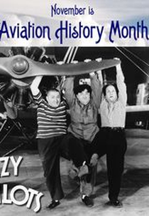 Além de idiotas, aéreos (Dizzy pilots)