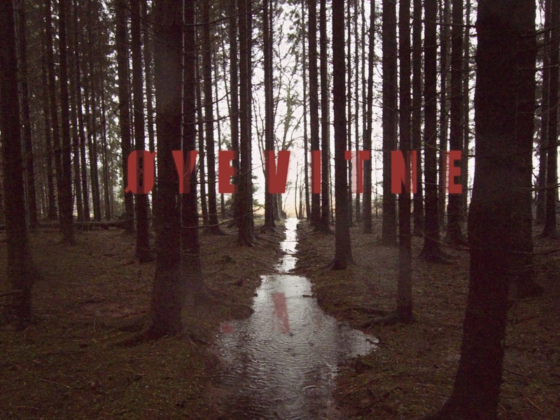 Foto 2 de Eyewitness