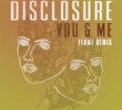 Disclosure ft. Eliza Doolittle: You & Me (Flume Remix)