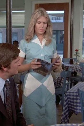 Poster de Episódio Ollinger's Last Case (1973)