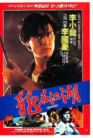Poster 5 de Filme Sede de Vingança (1986)