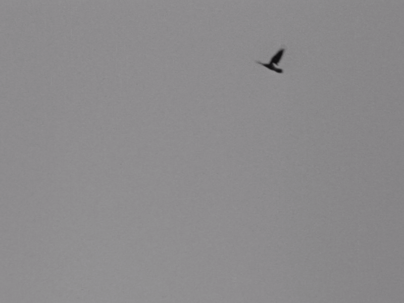 Foto 5 de Interlúdio na baixada