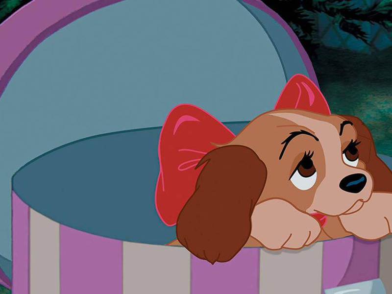 Foto 2 de A Dama e o Vagabundo