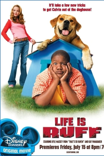 Poster de Filme Cãofusões (2005)