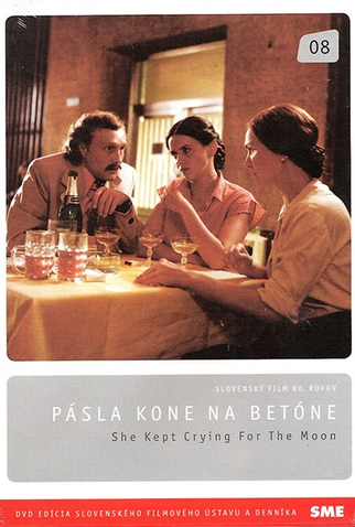 Poster 1 de Filme Não é Fácil Criar Cavalos (1983)