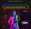 Mr. Wonderful
