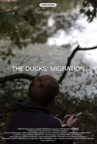 Poster 1 de Curta The Duck's Migration (2012)