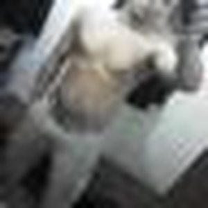 Foto de perfil de Matias
