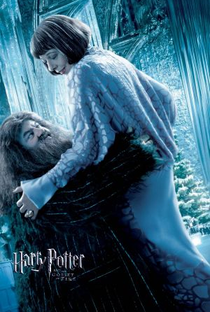 Harry Potter e o Cálice de Fogo - Poster / Capa / Cartaz - Oficial 10