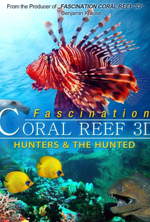 Fascínio - Recife de Corais 3D: Caçadores & Presas - Poster / Capa / Cartaz - Oficial 1