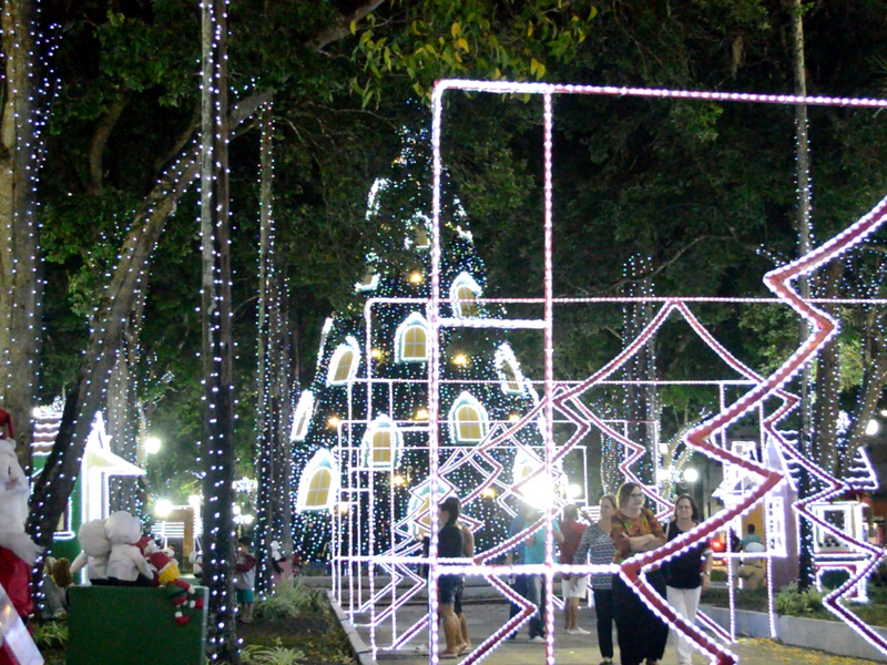 Foto 1 de O Guará e o Anum