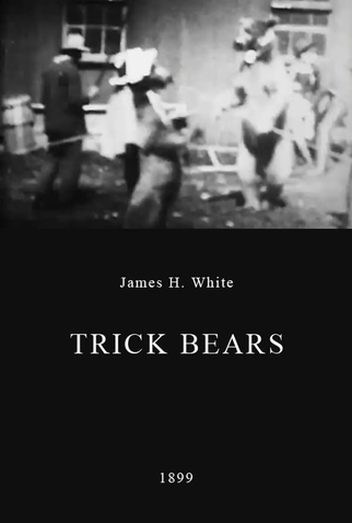 Poster 1 de Curta Trick Bears (1899)