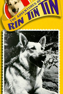 As Aventuras de Rin Tin Tin - Poster / Capa / Cartaz - Oficial 4