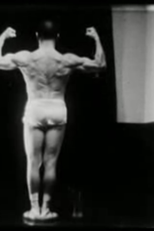 Os Musculos Superficiais do Homem (Os Musculos Superficiais do Homem)