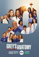 Anatomia de Grey (20ª Temporada) (Grey's Anatomy (Season 20))