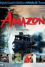 Amazon (Amazon)