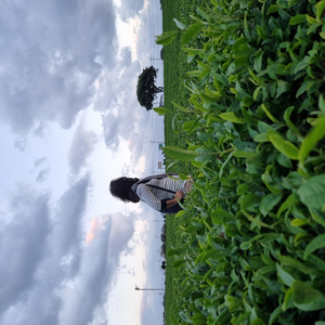 Foto de perfil de CrisVeloso