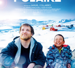 A Polar Year