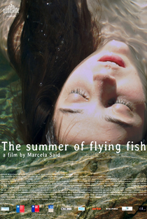 O Verão dos Peixes-Voadores - Poster / Capa / Cartaz - Oficial 1