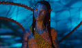 Zoe Saldaña quer que James Cameron produza documentário sobre Avatar