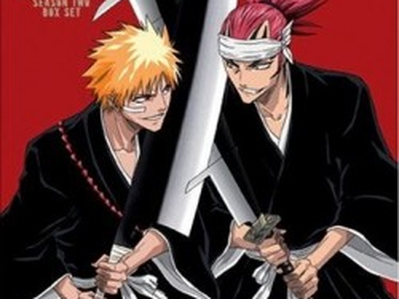 Foto 2 de Bleach (2ª Temporada)