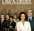 Lei & Ordem (19ª Temporada) 