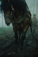 Last of the Clan (Poslední z rodu)