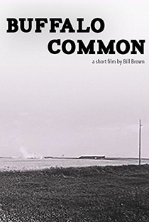 Buffalo Common - Poster / Capa / Cartaz - Oficial 1