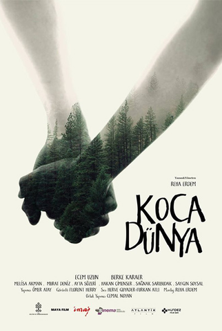 Poster 1 de Filme Big Big World (2016)