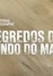Segredos do Fundo do Mar (4ª Temporada) (Drain the Oceans (#4 Season))