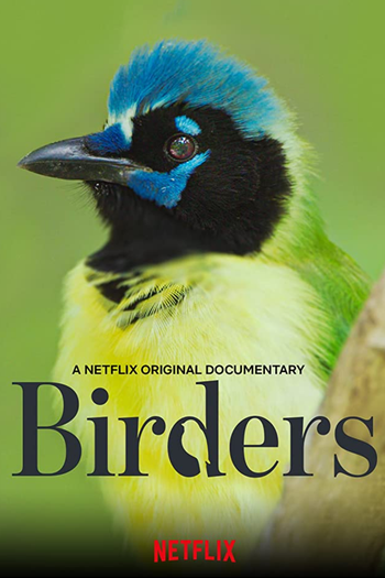  de Curta Passarinheiros (2019)