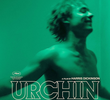Urchin