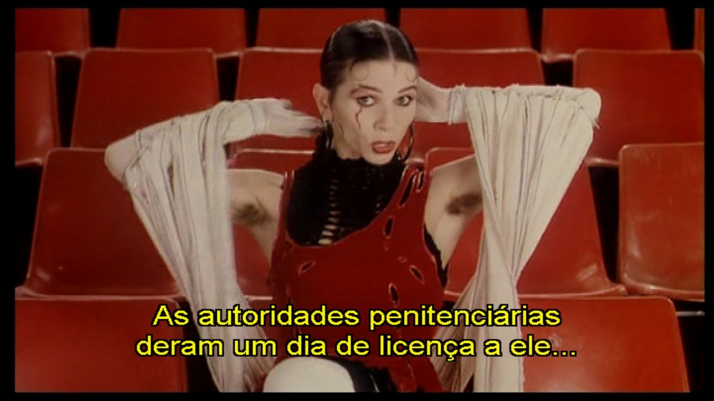 Andréa Rocha - Foto 1