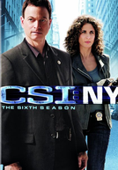 CSI: Nova Iorque (6ª temporada) (CSI: New Iorque (Season 6))