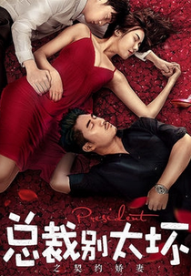 Young President and His Contract Wife (Young President and His Contract Wife)